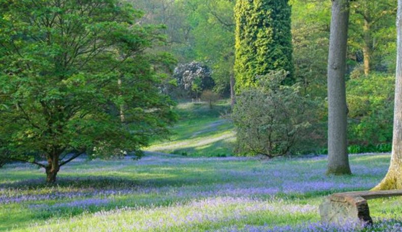 High Beeches Gardens, United Kingdom